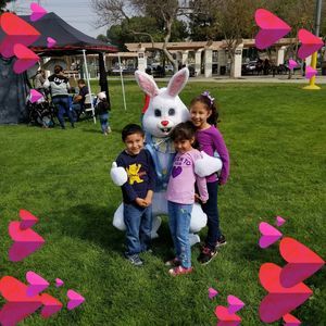 Meet your Posher, Lucy